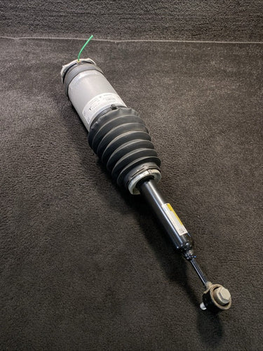 1027461-00-G 2018 Tesla Model X Rear Right Or Left Side Air Shock Strut OEM 1027461-00-G
