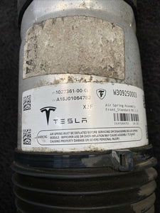 1027361-00-G 16-20 Tesla Model X Right/Left Front Air Suspension Strut Shock OEM 1027361-00-G