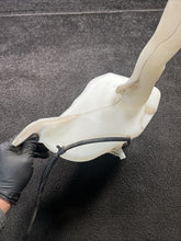 68362466AD 2020 Dodge Ram 3500 Windshield Washer Fluid Reservoir Tank OEM 68362466AD